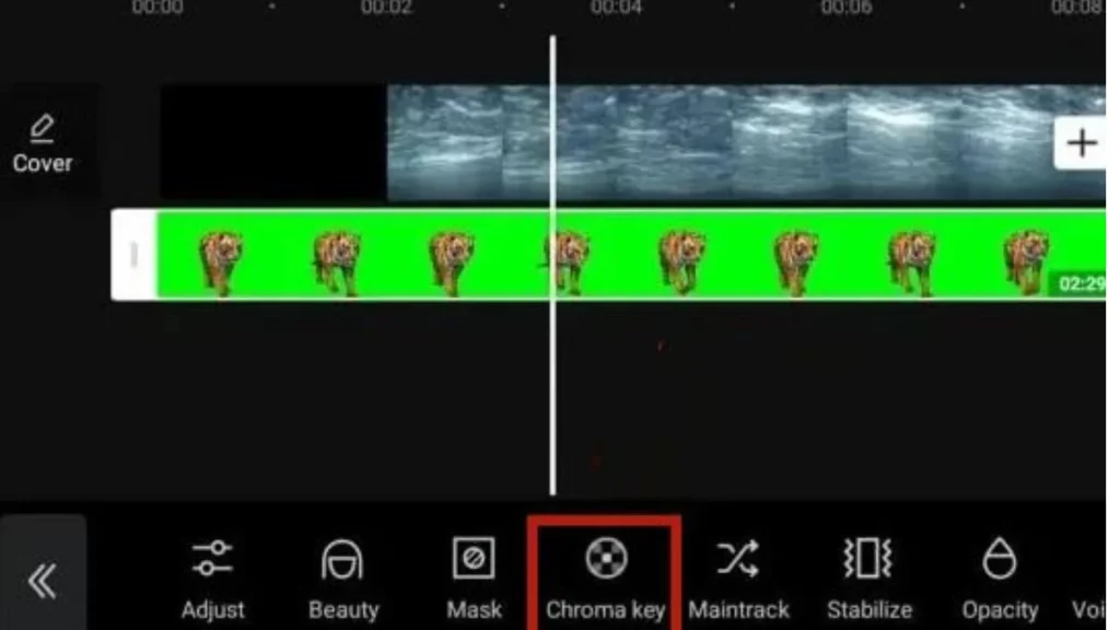 CapCut Mod Apk 6 Green Screen